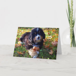 Berner Nation Grußkarte Feiertagskarte