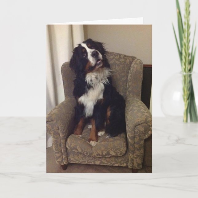 Berner Nation Grußkarte Feiertagskarte (Vorderseite)