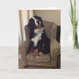 Berner Nation Grußkarte Feiertagskarte