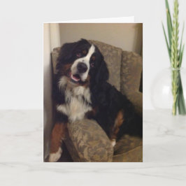 Berner Nation Grußkarte Feiertagskarte