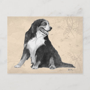 Berner Postkarte