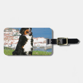 Berner Rinderhund posiert am Strand Gepäckanhänger