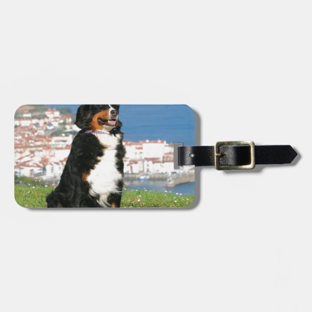 Berner Rinderhund posiert am Strand Gepäckanhänger (Vorderseite horizontal)