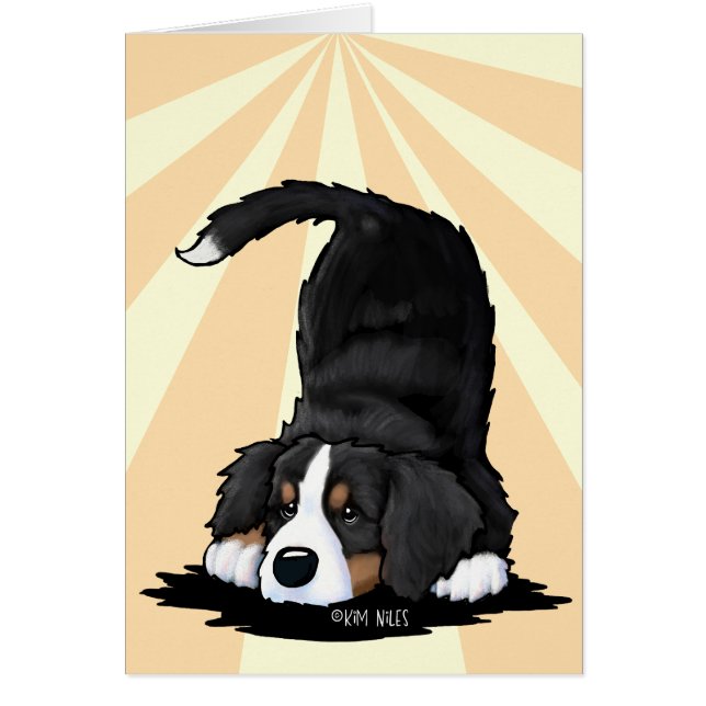 Berner Sennenhund (Vorne)