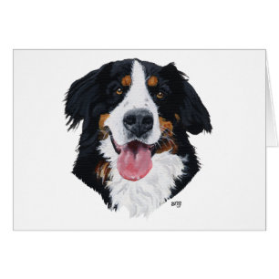 Berner Sennenhund