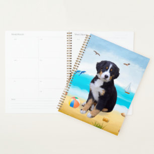 Berner Sennenhund am Strand Planer