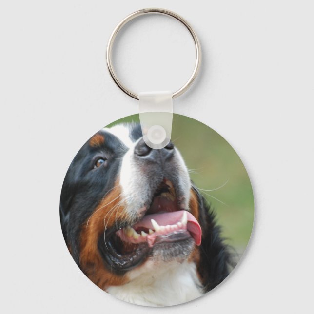 Berner Sennenhund Dog Schlüsselanhänger (Vorderseite)