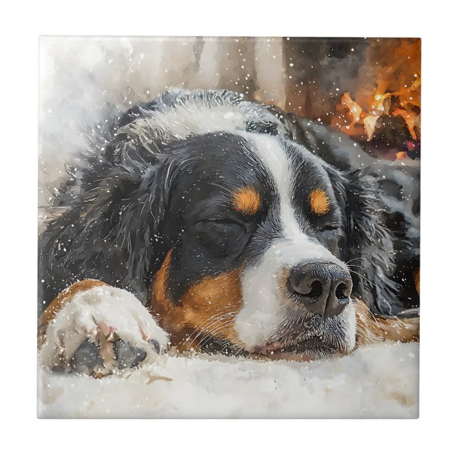 Berner Sennenhund Fliese (Vorderseite)