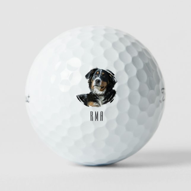 Berner Sennenhund Golfball (Vorderseite)