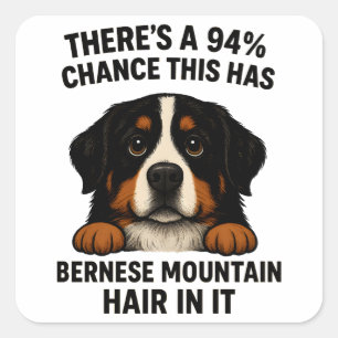 Berner Sennenhund Haar überall Lustig  Quadratischer Aufkleber