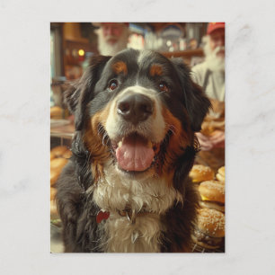 Berner Sennenhund im Cheeseburger-Laden Postkarte