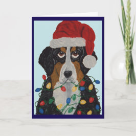Berner Sennenhund in Weihnachtslichter verheddert Karte