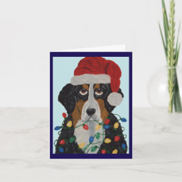 Berner Sennenhund in Weihnachtslichtern verheddert Einladung