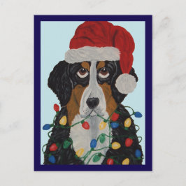 Berner Sennenhund in Weihnachtslichtern verheddert Postkarte