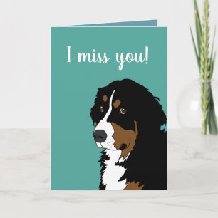 Berner Sennenhund Karte