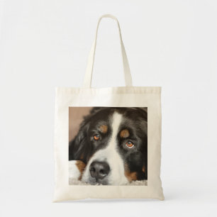 Berner Sennenhund liegt Tragetasche