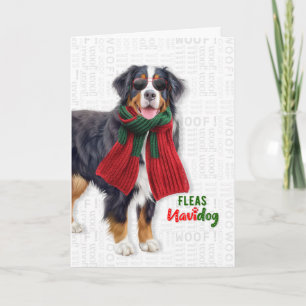 Berner Sennenhund Lustig Flöhe Navidog Weihnachten