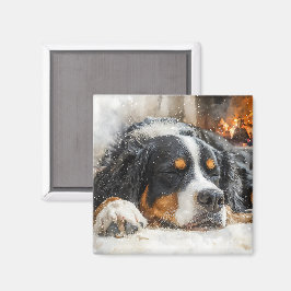 Berner Sennenhund Magnet