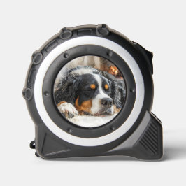 Berner Sennenhund Maßband