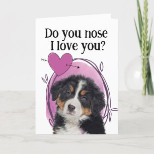 Berner Sennenhund Maßgeschneidertes Valentinstag  Feiertagskarte