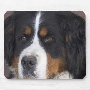 Berner Sennenhund Mausunterlage Mousepad