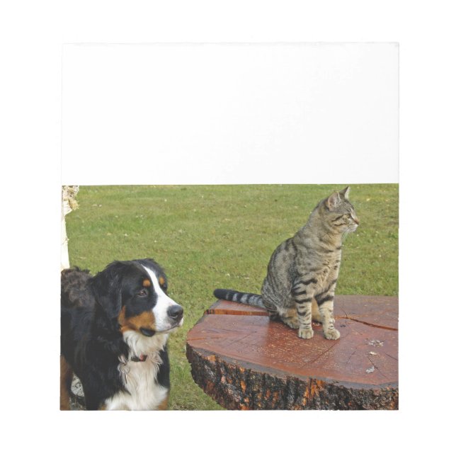 Berner Sennenhund mit Katze Notizblock (Vorderseite)
