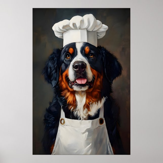 Berner Sennenhund mit Kochmütze Poster, Haustier Poster (Vorne)