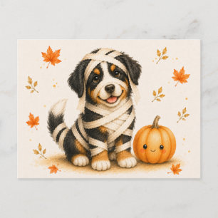 Berner Sennenhund-Mumie Halloween Postkarte