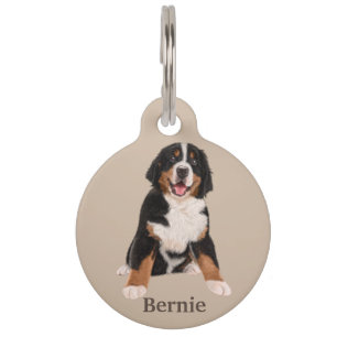 Berner Sennenhund Personalisieren Haustiermarke
