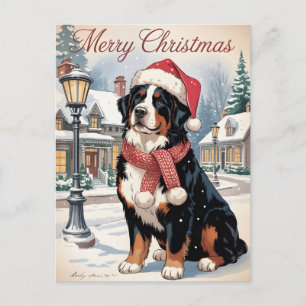 Berner Sennenhund personalisiertes Weihnachten