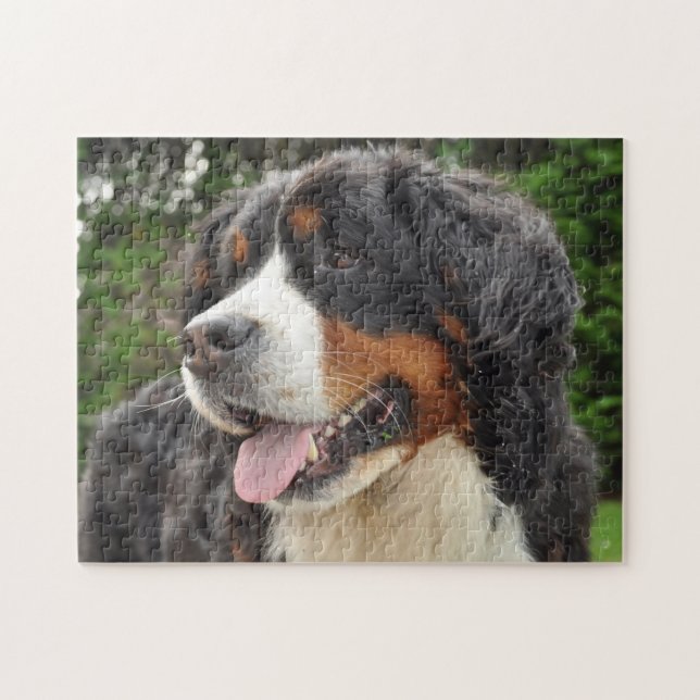 Berner Sennenhund. Puzzle (Horizontal)