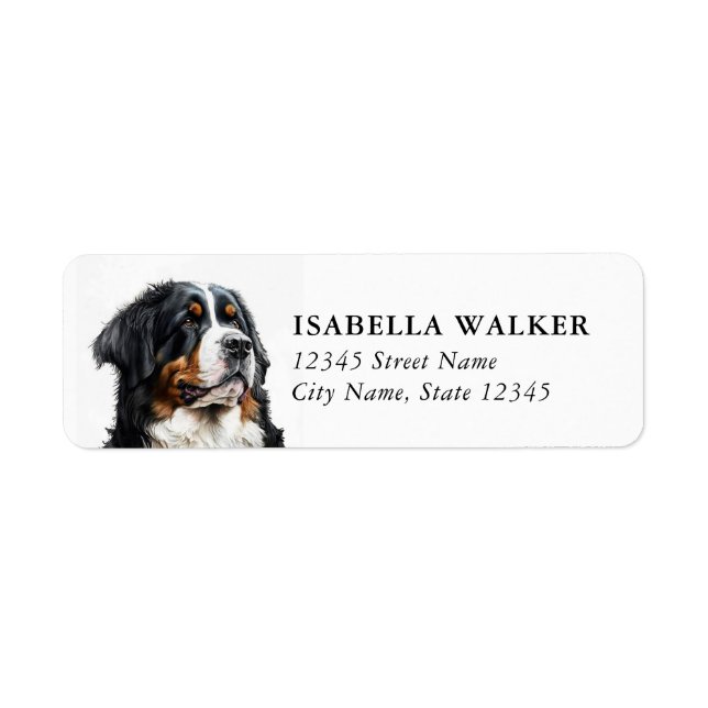 Berner Sennenhund Rücksende-Adresse-Etiketten (Vorne)