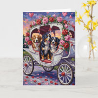 Berner Sennenhund Valentinstag