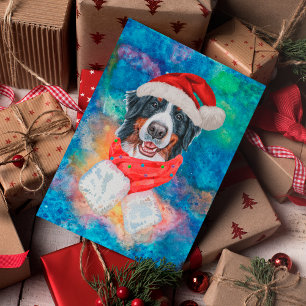 Berner Sennenhund Weihnachten