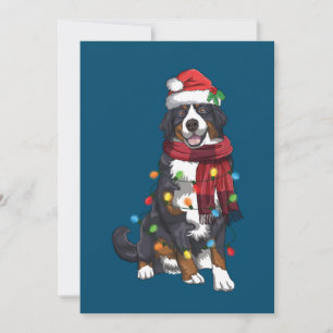 Berner Sennenhund Weihnachtslicht Lustiger Hundebe Einladung