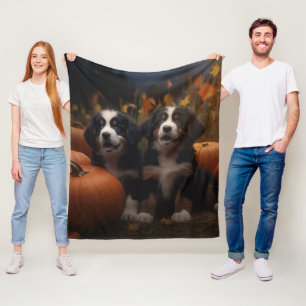 Berner Sennenhund-Welpe Herbstfreude Kürbis Fleecedecke