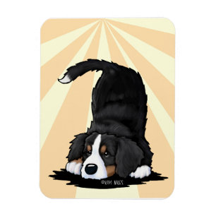 Berner Sennenhund Welpe Magnet