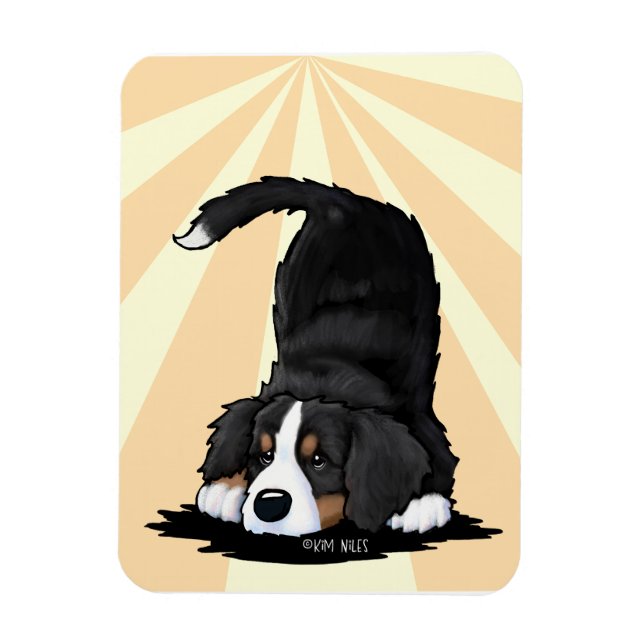 Berner Sennenhund Welpe  Magnet (Vertikal)