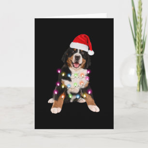 Berner Sennenhund-Welpe Weihnachtsgeschenk Karte