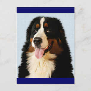 Berner Sennenhund-Welpen-Hund leere Postkarte
