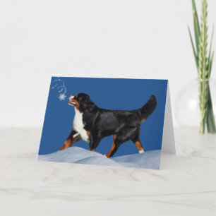 Berner Sennenhund Winterurlaubskarte Feiertagskarte