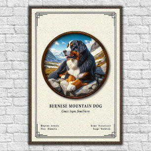 Berner Sennenhund Zoologie-Serie Poster