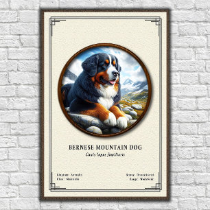 Berner Sennenhund Zoologie-Serie Poster