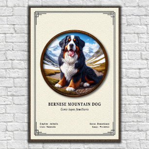 Berner Sennenhund Zoologie-Serie Poster
