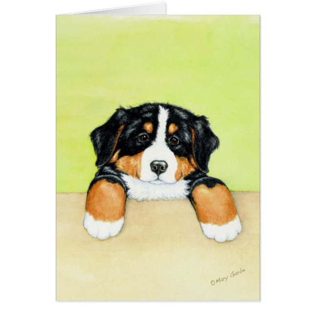 Berner Welpe (Vorne)