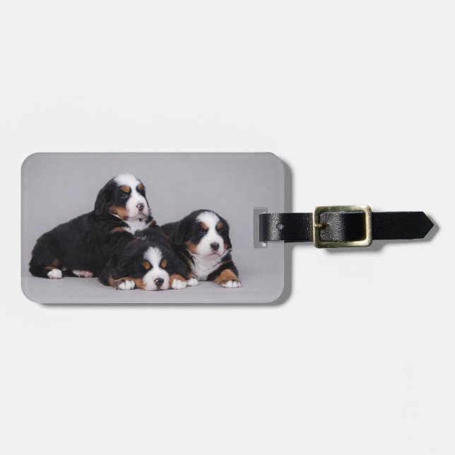 Berner Welpen Gepäckanhänger (Vorderseite horizontal)
