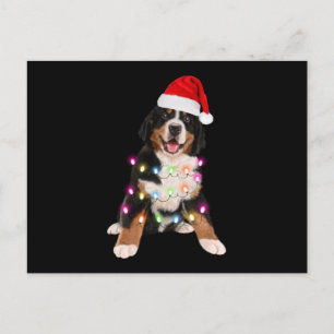 Berner Welpen Weihnachtsgeschenk Postkarte
