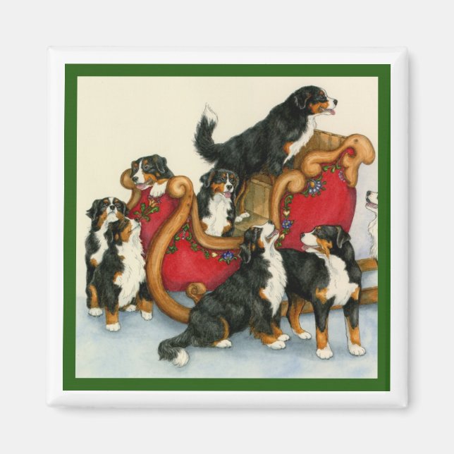 Berners in Sleigh Magnet (Vorne)