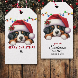 Bernerser Mountain Dog Weihnachten mit Santa Hut Geschenkanhänger