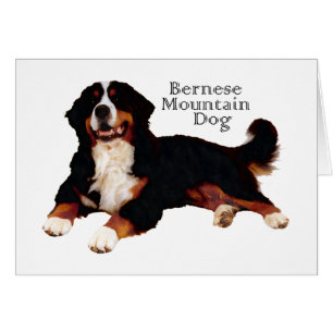 BERNESE